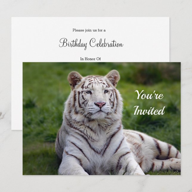 Beautiful White Tiger Photo Birthday Invitation (Front/Back)