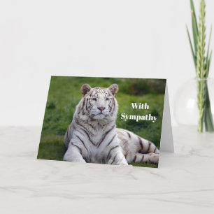Beautiful White Tiger Photo Sympathy Card