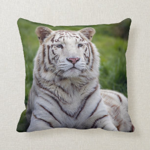 Beautiful White Tiger Photo Throw Pillow