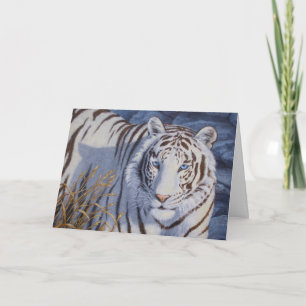 Beautiful White Tiger with Crystal Blue Eyes Card