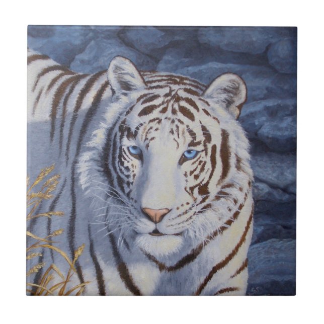 Beautiful White Tiger with Crystal Blue Eyes Tile (Front)