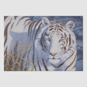 Beautiful White Tiger with Crystal Blue Eyes Tissue Paper