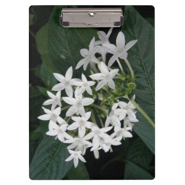 Beautiful White Tropical Flowers Clipboard (Front)
