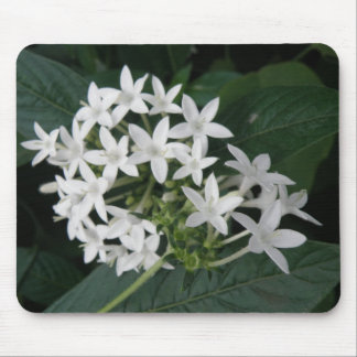 Beautiful White Tropical Flowers Mousepad