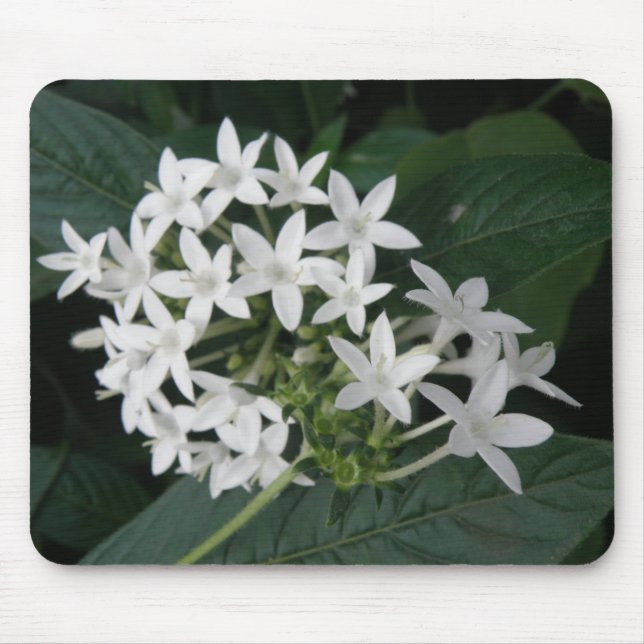 Beautiful White Tropical Flowers Mousepad (Front)