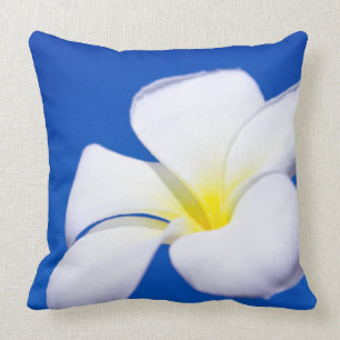 Beautiful White Tropical Plumeria and Blue Sky Throw Pillow