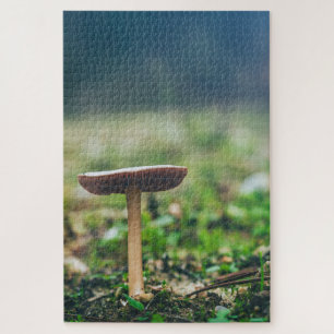 Beautiful wild mushroom in an autumn field jigsaw puzzle