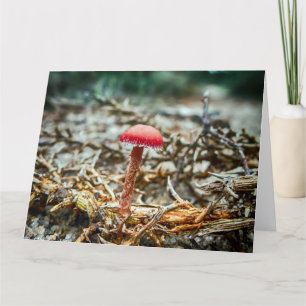 Beautiful wild mushroom in an autumn field thank you card