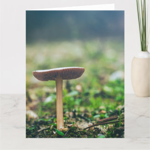 Beautiful wild mushroom in an autumn field thank you card
