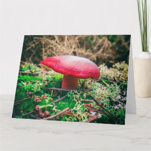 Beautiful wild mushroom in an autumn field thank you card