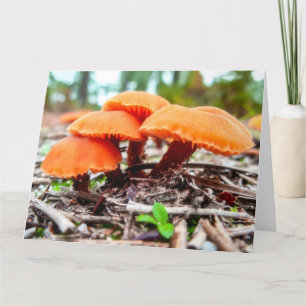 Beautiful wild mushrooms bunch in an autumn field thank you card
