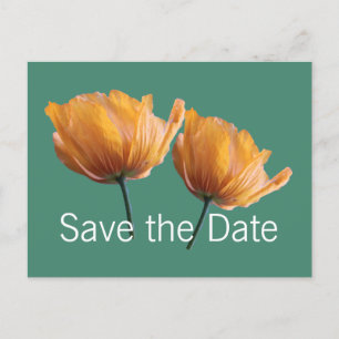 beautiful wild yellow poppy flowers save the date announcement postcard