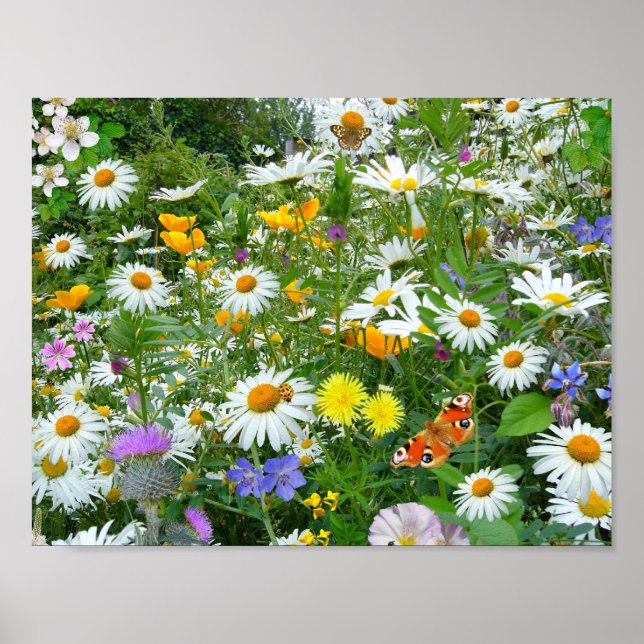 Beautiful Wildflower and Butterfly Meadow Poster (Front)
