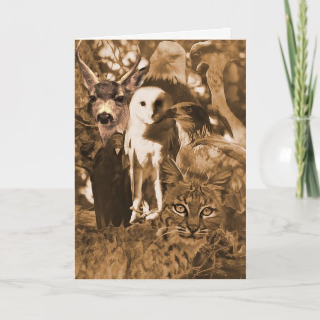 Beautiful Wildlife Animals Blank Card (Front)