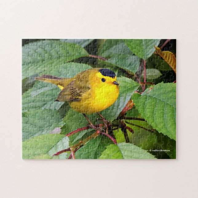 Beautiful Wilson's Warbler in the Cherry Tree Jigsaw Puzzle (Horizontal)
