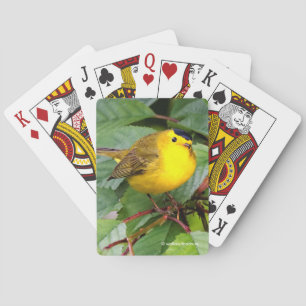 Beautiful Wilson's Warbler in the Cherry Tree Playing Cards