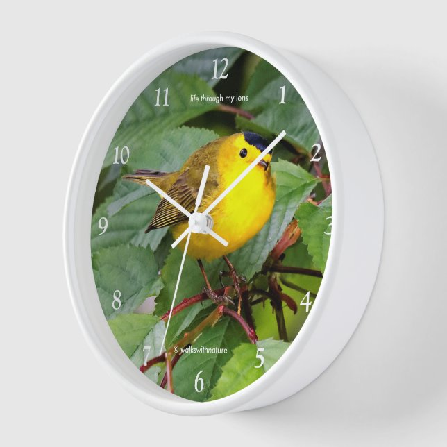 Beautiful Wilson's Warbler Songbird in Cherry Tree Clock (Angle)