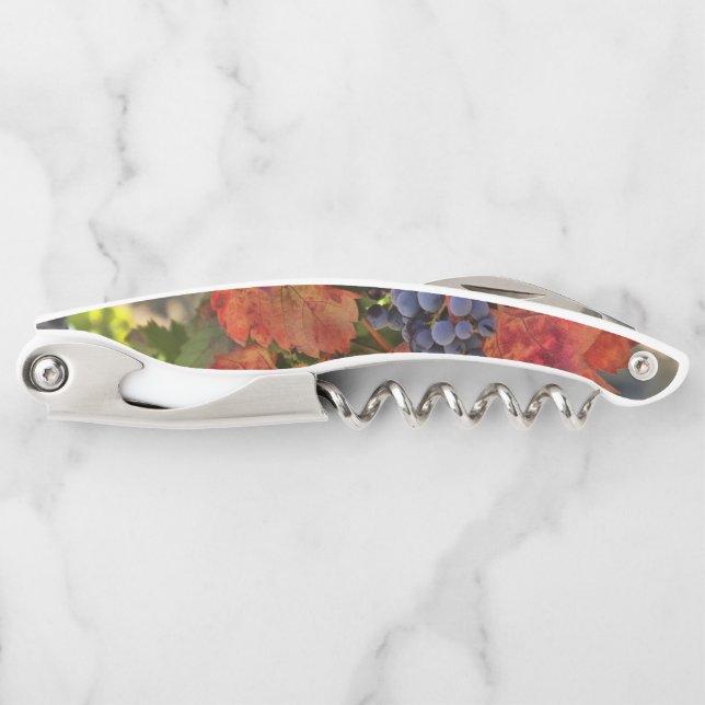 Beautiful Wine Corkscrew with Grapes and Vineyard (Front)