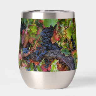 Beautiful Wine Grapes and Vine