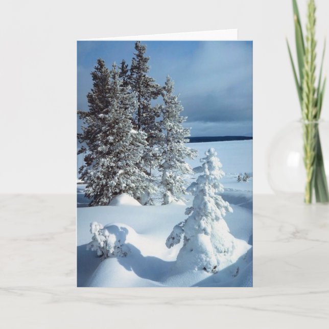 Beautiful Winter Blank Business Holiday Christmas Card (Front)