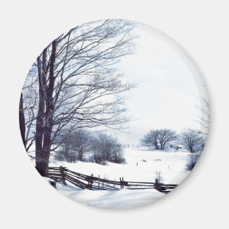 Beautiful Winter Day Magnet