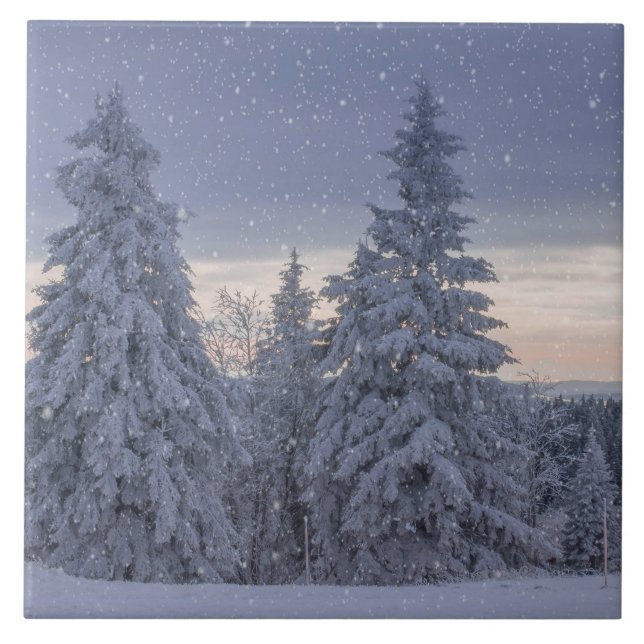 Beautiful Winter Landscape as it's Snowing  Tile (Front)