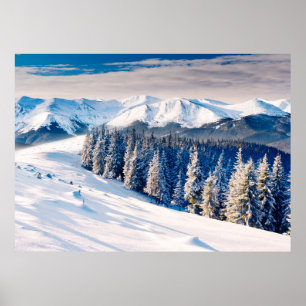 Beautiful winter landscape with snow covered trees poster
