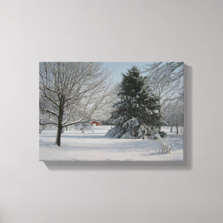 Beautiful Winter Scene Canvas Print
