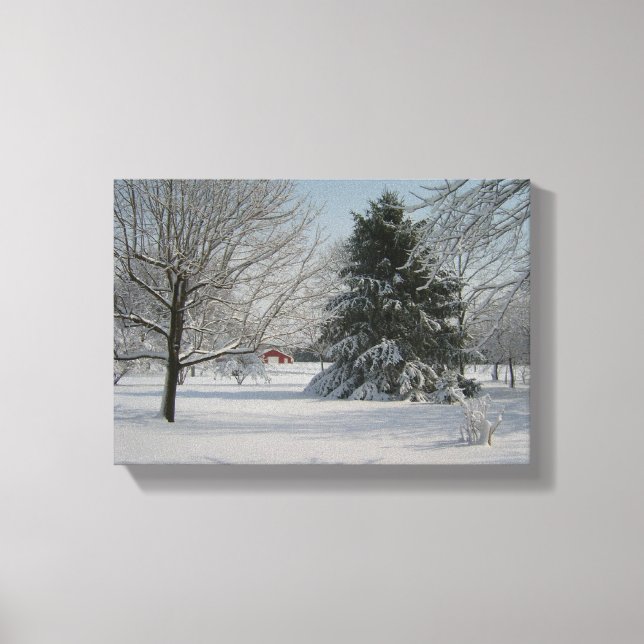 Beautiful Winter Scene Canvas Print (Front)