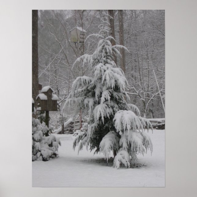 Beautiful Winter Scene Poster (Front)