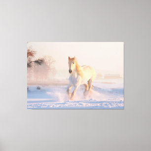 Beautiful Winter White Horse Canvas Print