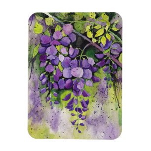 Beautiful Wisteria Flowers In Watercolor Magnet