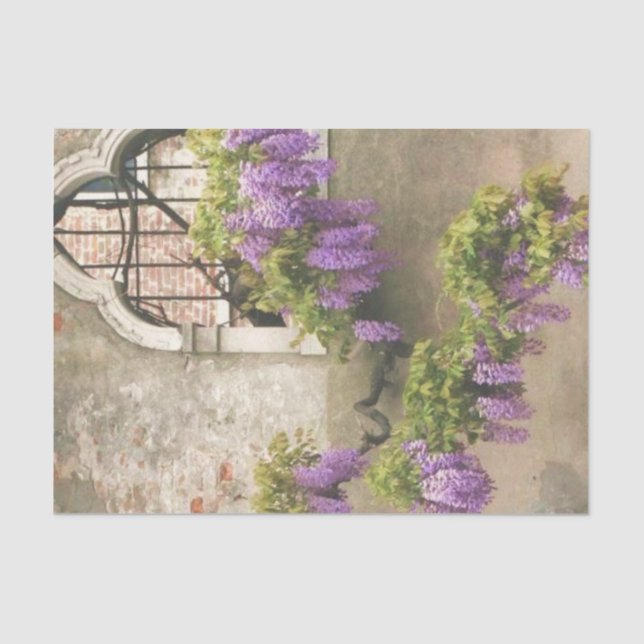 Beautiful Wisteria handing over Gothic Window Tissue Paper (Front)