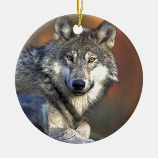 Beautiful Wolf Ceramic Ornament (Front)