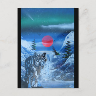 Beautiful wolf in sunset postcard