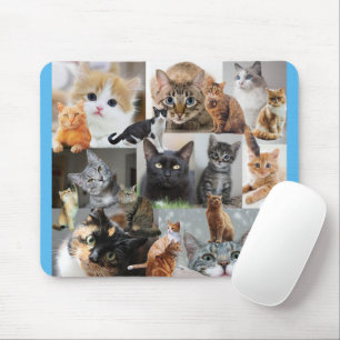 Beautiful World of Cats and Kittens Mouse Pad