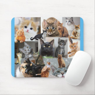 Beautiful World of Cats and Kittens Mouse Pad