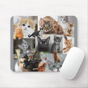 Beautiful World of Cats and Kittens Mouse Pad
