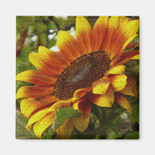Beautiful Yellow and Orange Sunflower Magnet