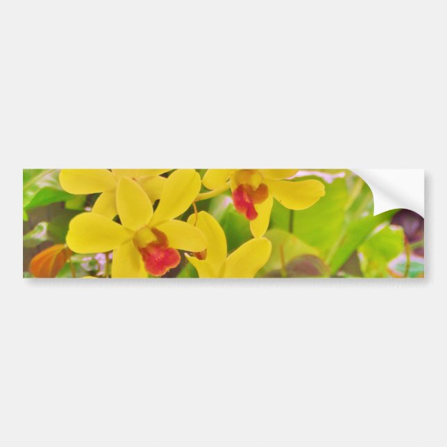 Beautiful Yellow autumn orchids Bumper Sticker (Front)