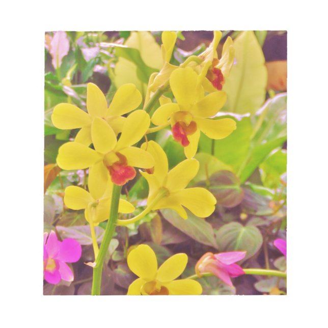 Beautiful Yellow autumn orchids Notepad (Front)