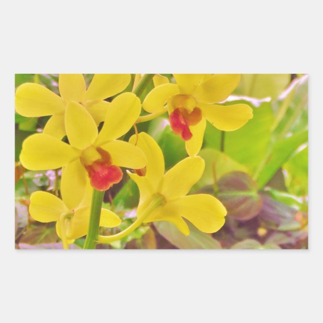 Beautiful Yellow autumn orchids Sticker (Front)