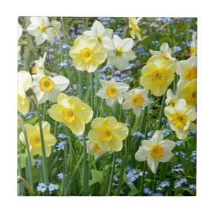Beautiful yellow daffodil garden tile