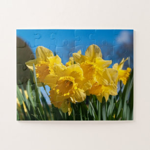 Beautiful Yellow Daffodils Jigsaw Puzzle