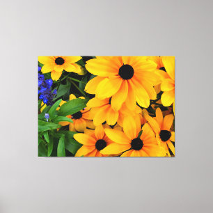 Beautiful Yellow Daisy Photo Canvas Print