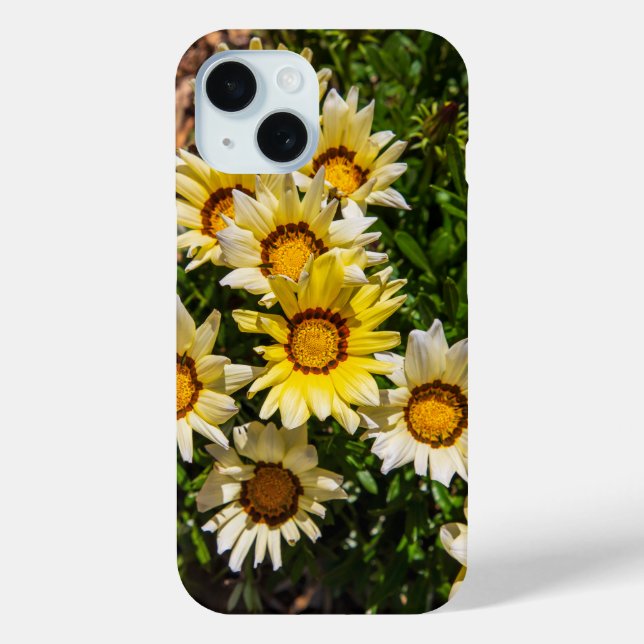 Beautiful yellow Gazania flowers in the garden Case-Mate iPhone Case (Back)