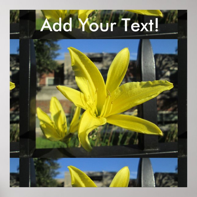 Beautiful Yellow Lily Poster (Front)