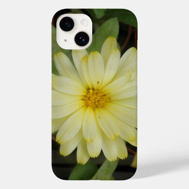 Beautiful Yellow Marigold Case-Mate iPhone Case (Back)