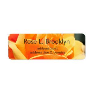 Beautiful yellow rose flower personal
