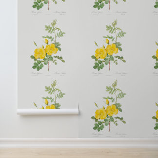 Beautiful Yellow Rose Garden Girly Flower Wallpaper